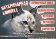 Ветеринарна клініка Козлової Світлани Сергіївни фото