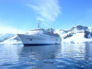 Marine Trade Consulting, крюїнгове агентство фото