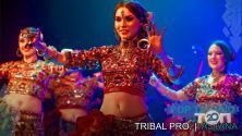 Tribal Pro, танцевальная студия фото