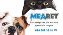 МедВет, узи домашних животных МедВет, узи домашних животных фото