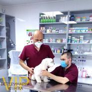 Vip сервис,  ветеринарная клиника фото