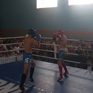 Мангуст, спортивний клуб фото