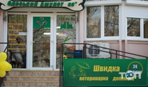Одеський Амулет, центр ветеринарних послуг фото