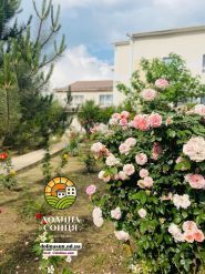 Долина Сонця, пансіонат для людей похилого віку фото