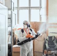 Ozon 24, озонування та дезінфекція фото