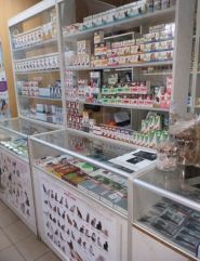 Панда, ветеринарно-консультативний центр фото