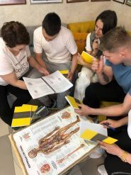 Body Line, школа-студія масажу Оксани Петришин фото