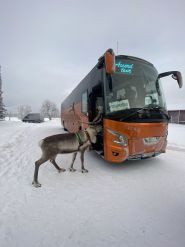 Аккорд-тур, туристичний оператор фото
