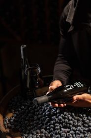 Koblia Vino, крафтова виноробня фото