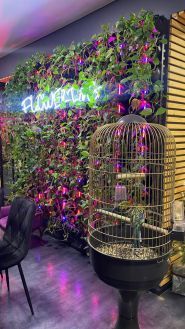 Flowering coffee gallery, кофейня фото