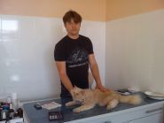 Планета звірів, центр ветеринарних послуг фото