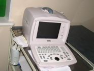 Планета звірів, центр ветеринарних послуг фото