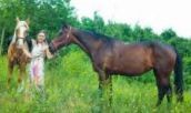 Пегас, кінний клуб фото