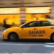 Shark taxi, мобільний додаток фото