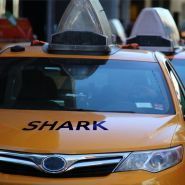 Shark taxi, мобільний додаток фото