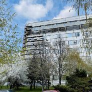 СкиФ, строительная компания фото