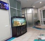 Дентамед, стоматологічна клініка фото