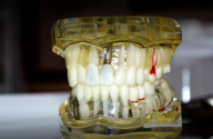 ДентаЛюкс, частная стоматология фото