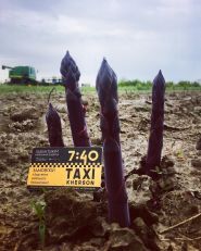 7-40 таксі фото