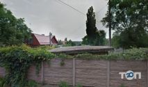 Фикус, ателье мебели фото