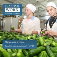 Transpol Work, компанія по працевлаштуванню фото