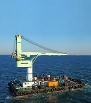 Трансшип, морська компанія фото