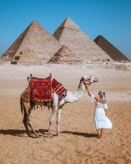 Travel Star, туристичне агентство фото
