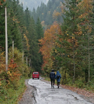 Про Карпати, туристична компанія Про Карпати, туристична компанія фото