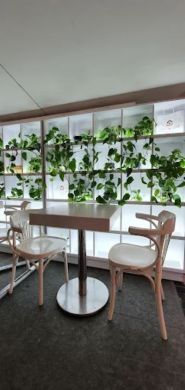 Blasercafe, мережа магазинів фото