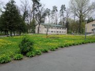 Салют, санаторій фото