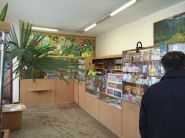 Аптека №29 фото