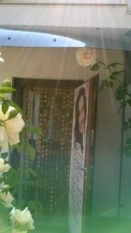 Колібрі, перукарня фото