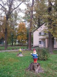 Салют, санаторій фото