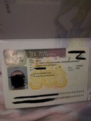 Visa Consulting Group, визовый консультант фото