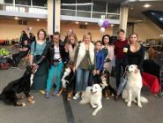 SunnyDog, школа фото