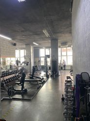 Гладіатор Джим, спортклуб фото