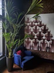 Hate, коворкинг фото