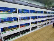 ZooLand, мережа зоомаркетів фото