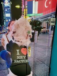 Lollipop, кур­сы ино­стран­ных язы­ков фото