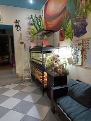 Rept&coffe club, кофейня фото