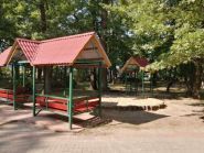 Сонячний, дитячий табір фото