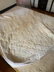 Perfetto, химчистка фото