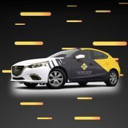 Narscars, прокатная компания фото