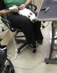 Master Zoo, мережа магазинів зоотоварів фото