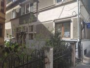 Софора фото