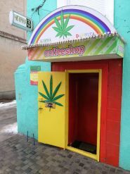 Сувениры из Амстердама фото