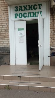Насіння-1 фото
