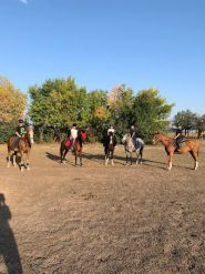 Ипподром в комплексе Княжий двор, спортивный клуб фото
