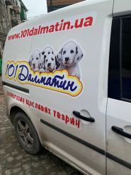 Зоомагазин 101Далматин на Салтівці/Інтернет магазин, зоомагазин фото