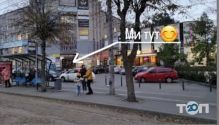 Тезис, книжковий магазин фото